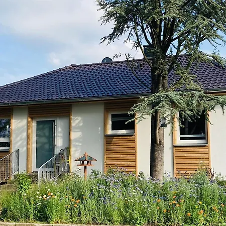 Urwald Holiday home