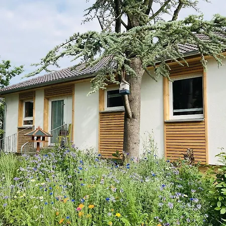 Urwald Holiday home Hofgeismar