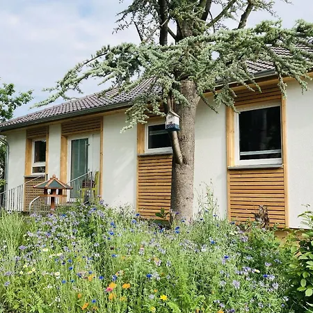 Urwald Hofgeismar